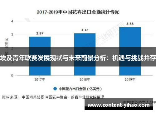 埃及青年联赛发展现状与未来前景分析：机遇与挑战并存