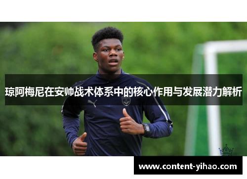 琼阿梅尼在安帅战术体系中的核心作用与发展潜力解析