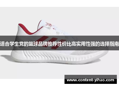 适合学生党的篮球品牌推荐性价比高实用性强的选择指南