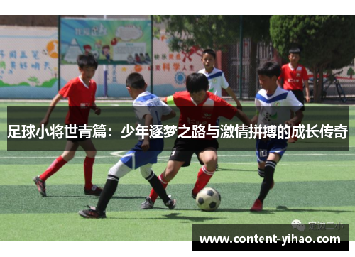 足球小将世青篇：少年逐梦之路与激情拼搏的成长传奇