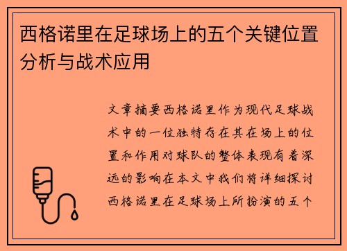 西格诺里在足球场上的五个关键位置分析与战术应用