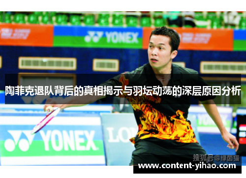 陶菲克退队背后的真相揭示与羽坛动荡的深层原因分析 陶菲克退队背后的真相揭示与羽坛动荡的深层原因分析
